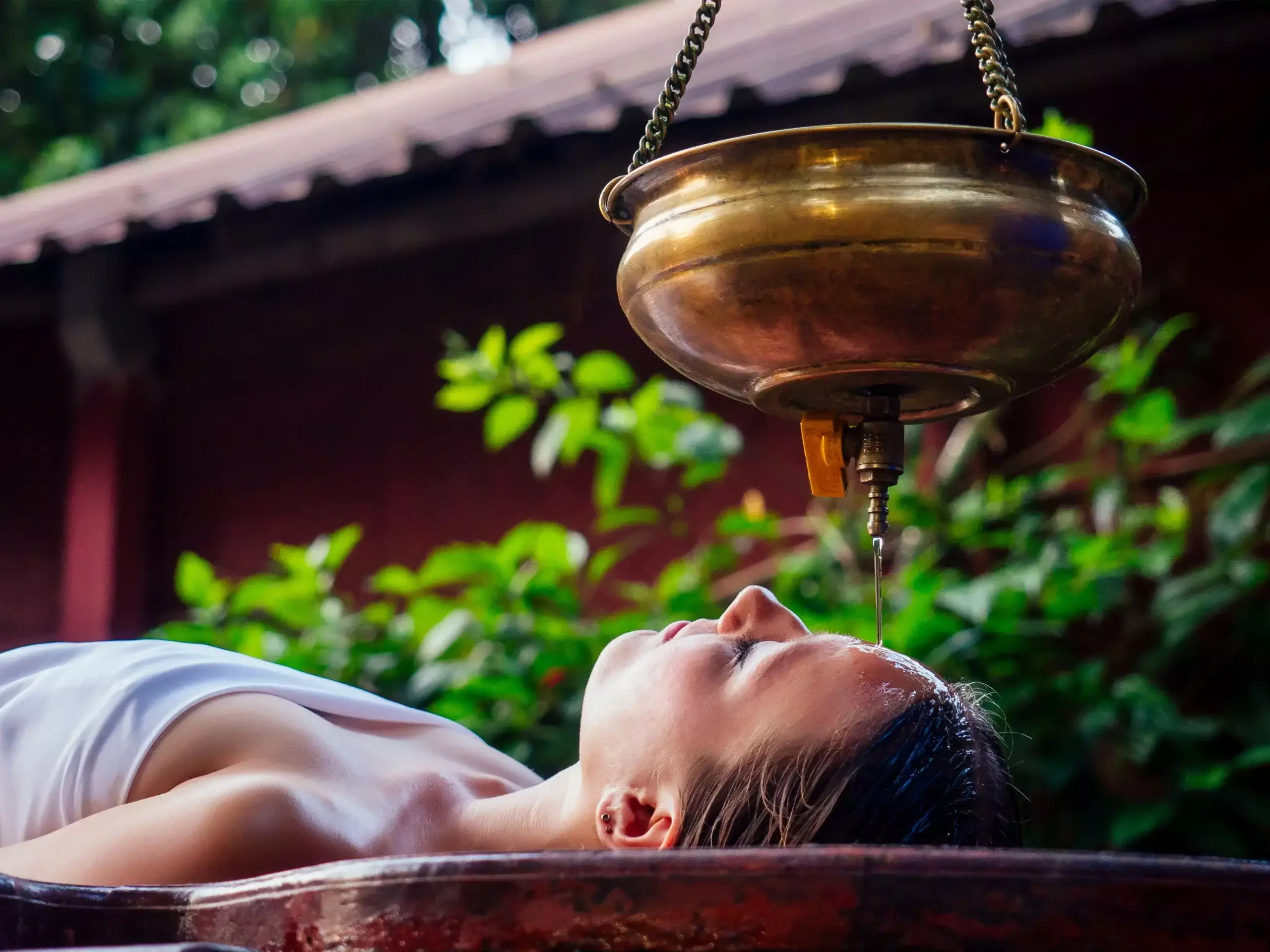 കേരളത്തിൻ്റെ ആയുർവേദ സമ്പദ്‌വ്യവസ്ഥ 60,000 കോടി രൂപയിലേക്ക്