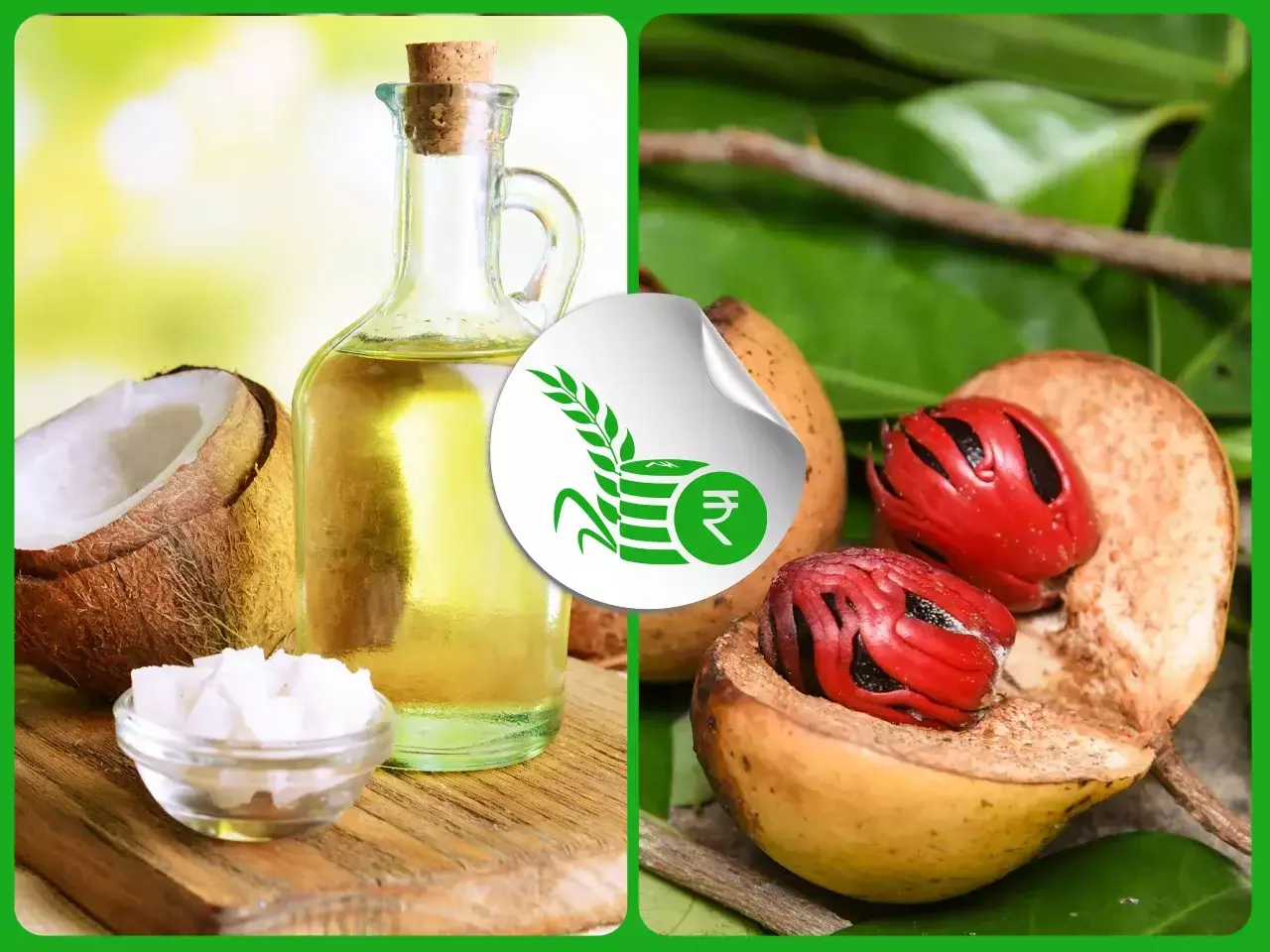 പാചക എണ്ണ വിലയിടിവ്   വെളിച്ചെണ്ണയ്ക്ക് വെല്ലുവിളി