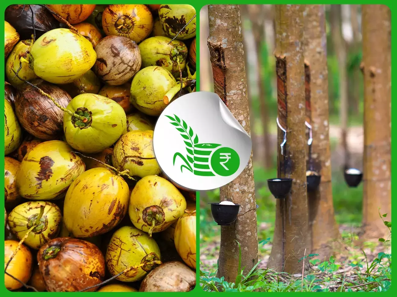 റബറിന് ഉണര്‍വ്; മാറ്റമില്ലാതെ  നാളികേര വിപണി