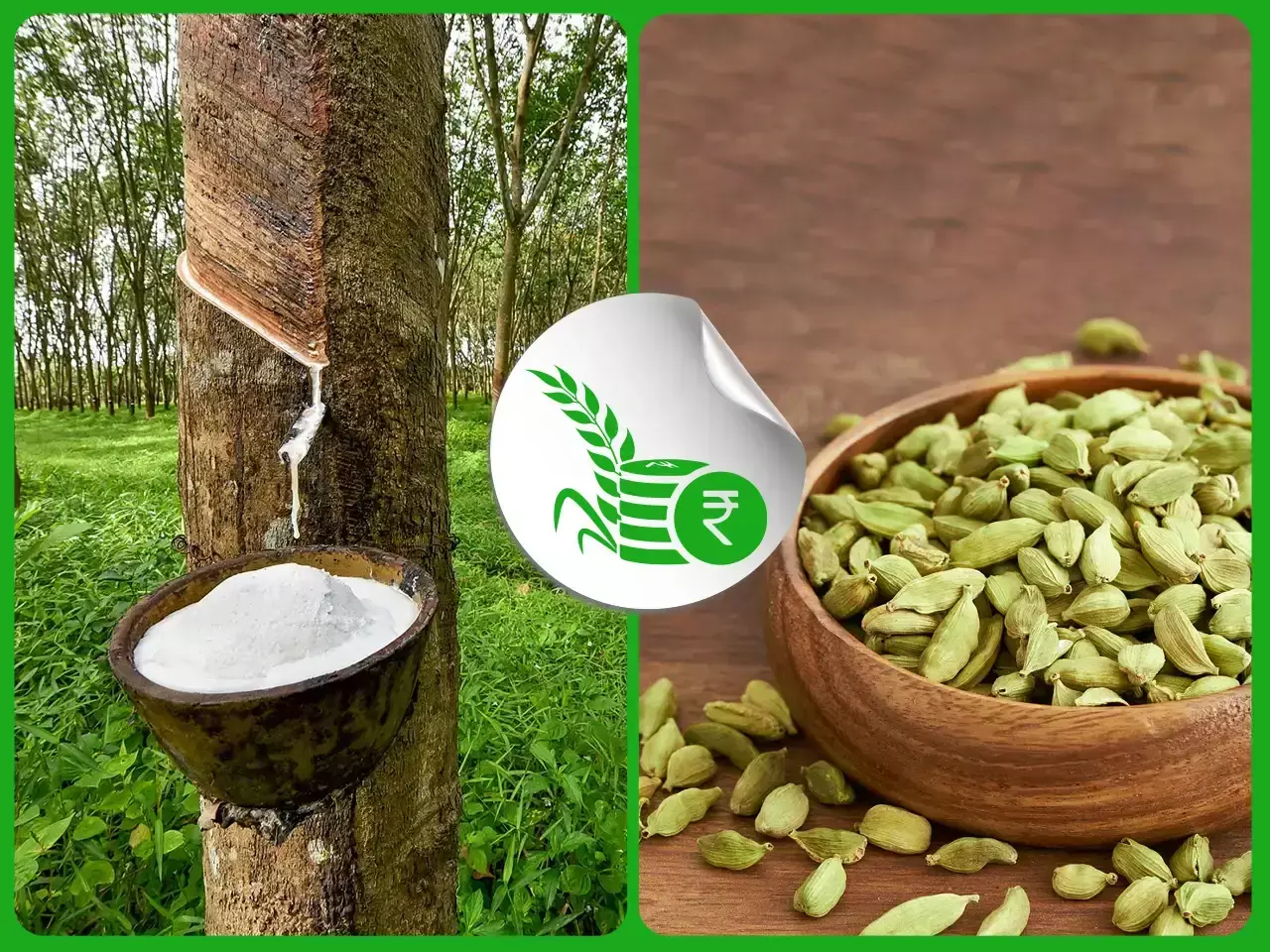 റബര്‍വില കുറഞ്ഞു;  വിപണിയില്‍ ഏലക്കാ പ്രവാഹം