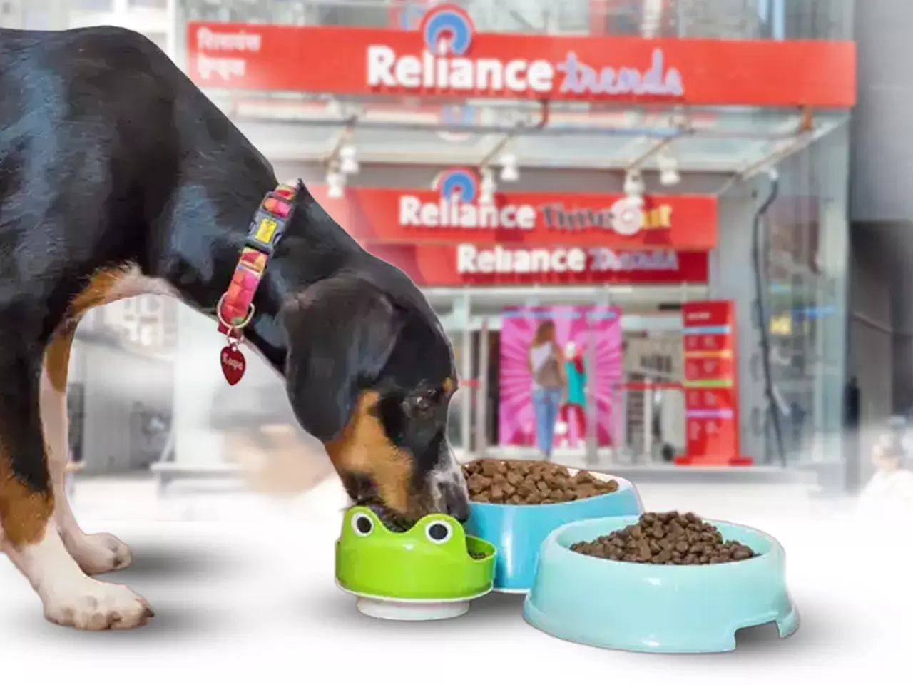 പെറ്റ് ഫൂഡ് വിപണിയിലേക്കും റിലയൻസ്