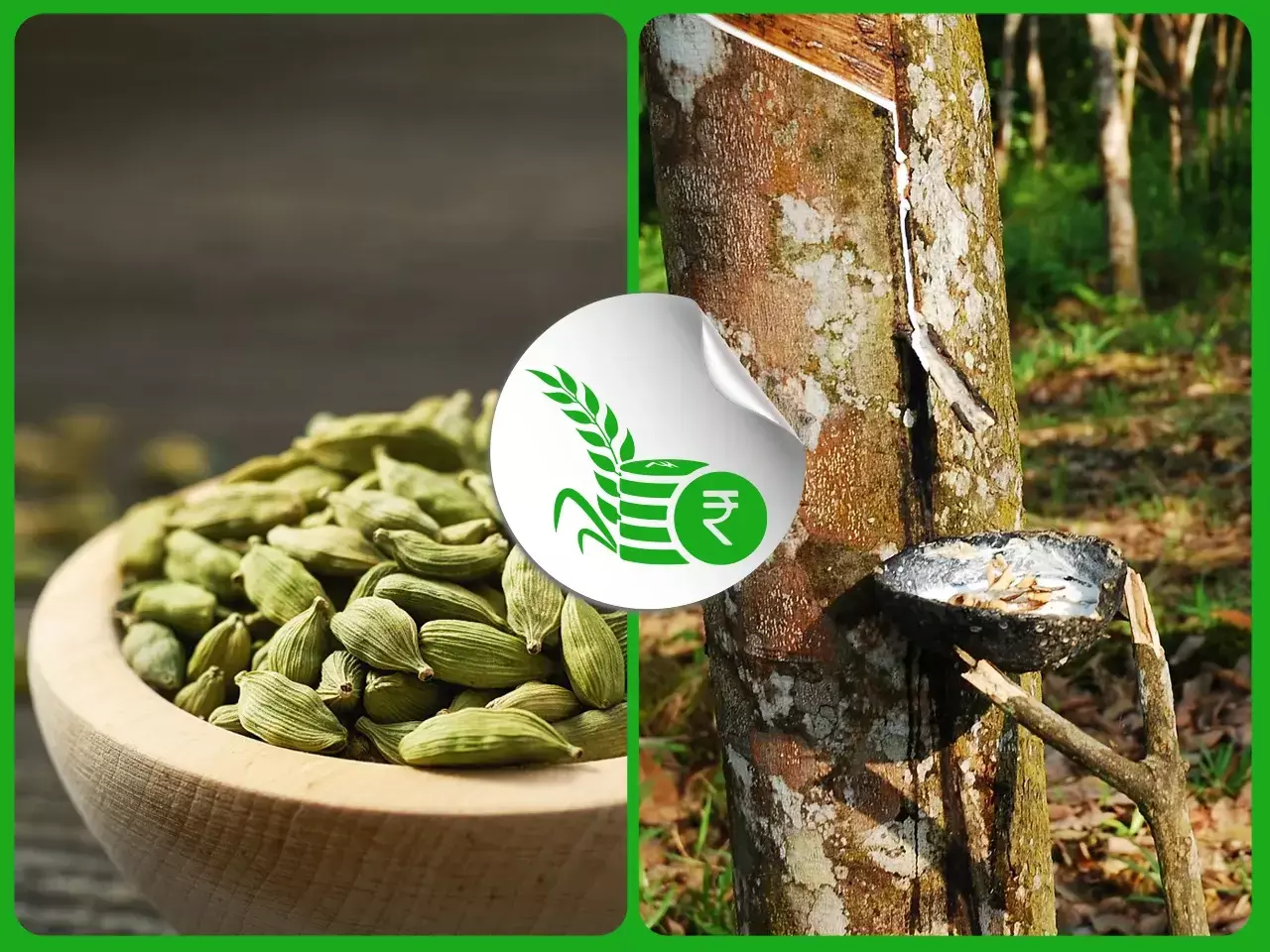 റബര്‍ കര്‍ഷകര്‍ക്ക് മഴ തിരിച്ചടി;  ഏലക്ക തേടി വ്യാപാരികള്‍