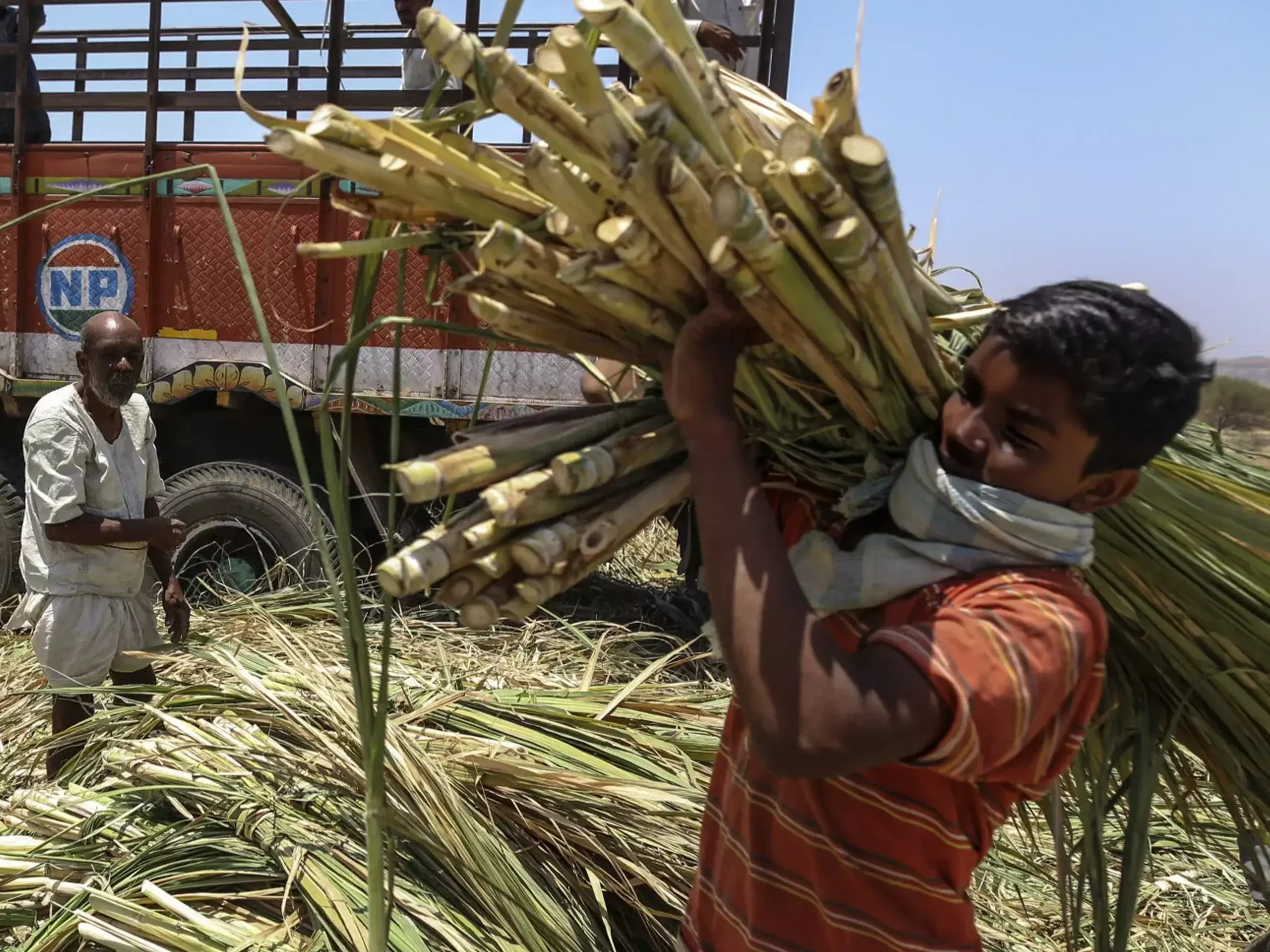 ഏഴ് വര്‍ഷത്തിനുശേഷം പഞ്ചസാരയുടെ   താങ്ങുവില വര്‍ധിപ്പിക്കാന്‍ കേന്ദ്രം