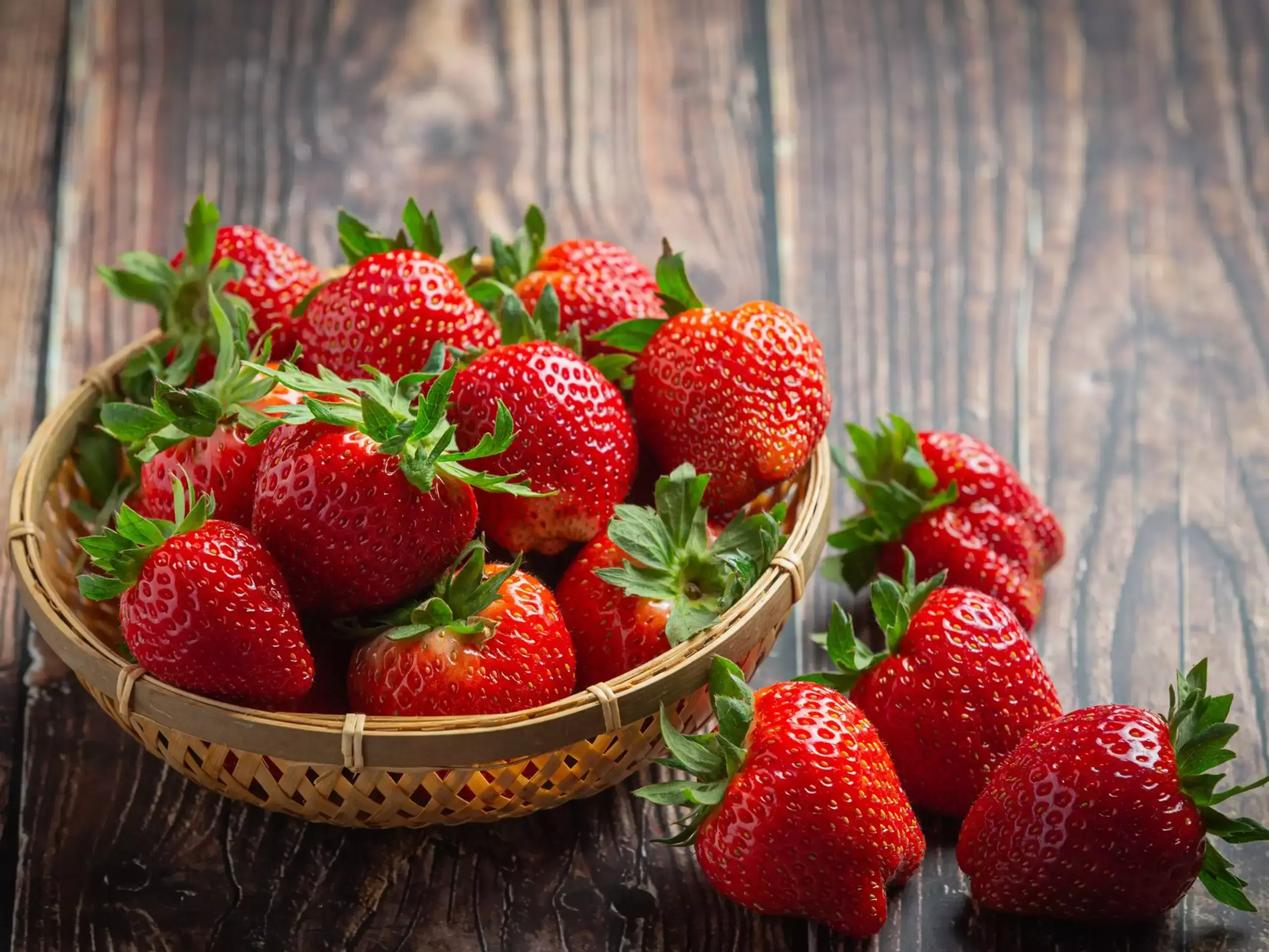 കാന്തല്ലൂരില് പുതിയ സ്ട്രോബറി സീസണ് തുടക്കമായി കാന്തല്ലൂരില് പുതിയ സ്ട്രോബറി സീസണ് തുടക്കമായി