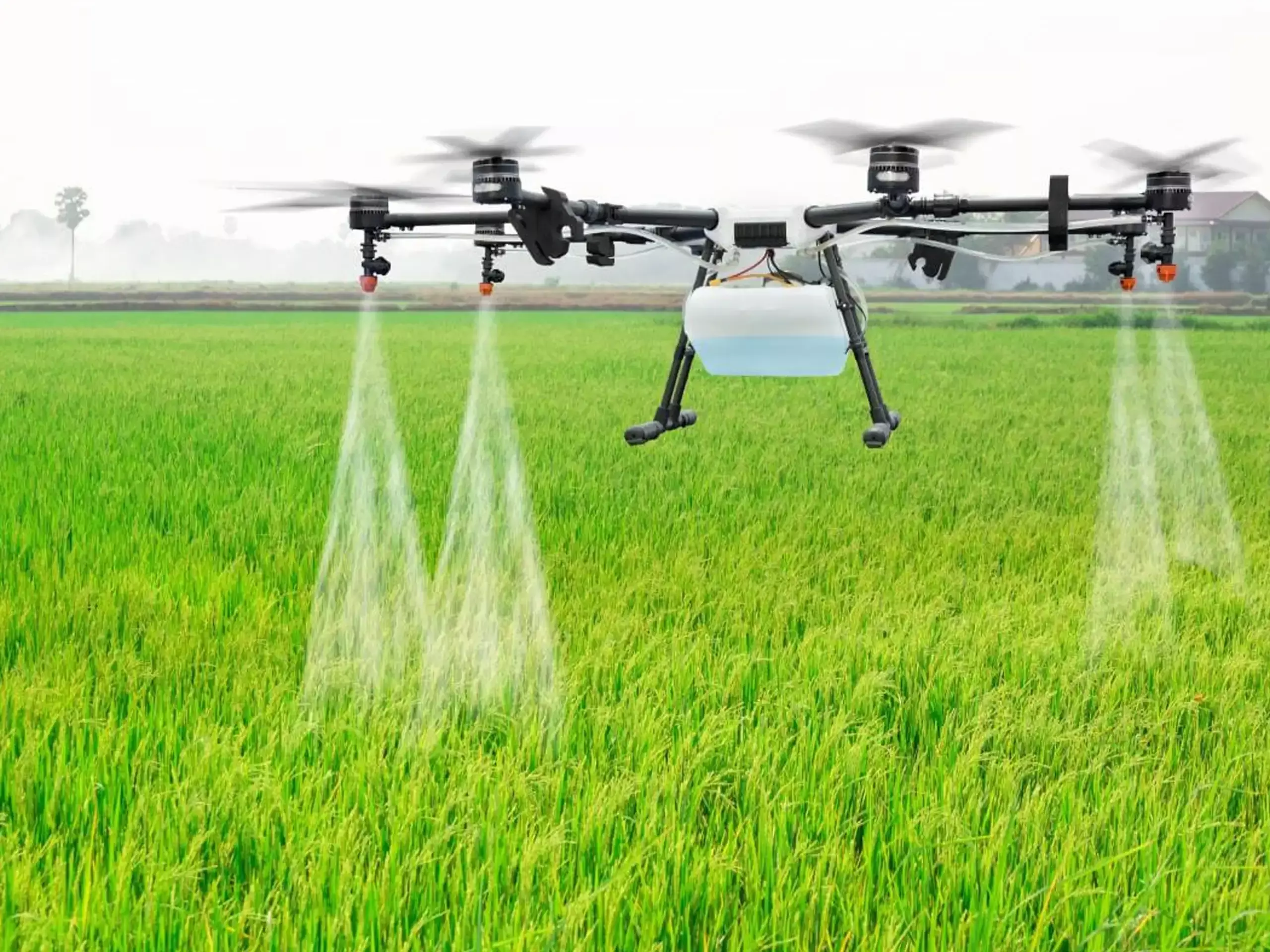 വിത്ത് വിതയ്ക്കാന് ഡ്രോണ് ഉപയോഗിച്ച് വേറിട്ട മാതൃകയയായിരിക്കുകയാണ് കോട്ടയത്തെ കര്ഷകര് വിത്ത് വിതയ്ക്കാന് ഡ്രോണ് ഉപയോഗിച്ച് വേറിട്ട മാതൃകയയായിരിക്കുകയാണ് കോട്ടയത്തെ കര്ഷകര്