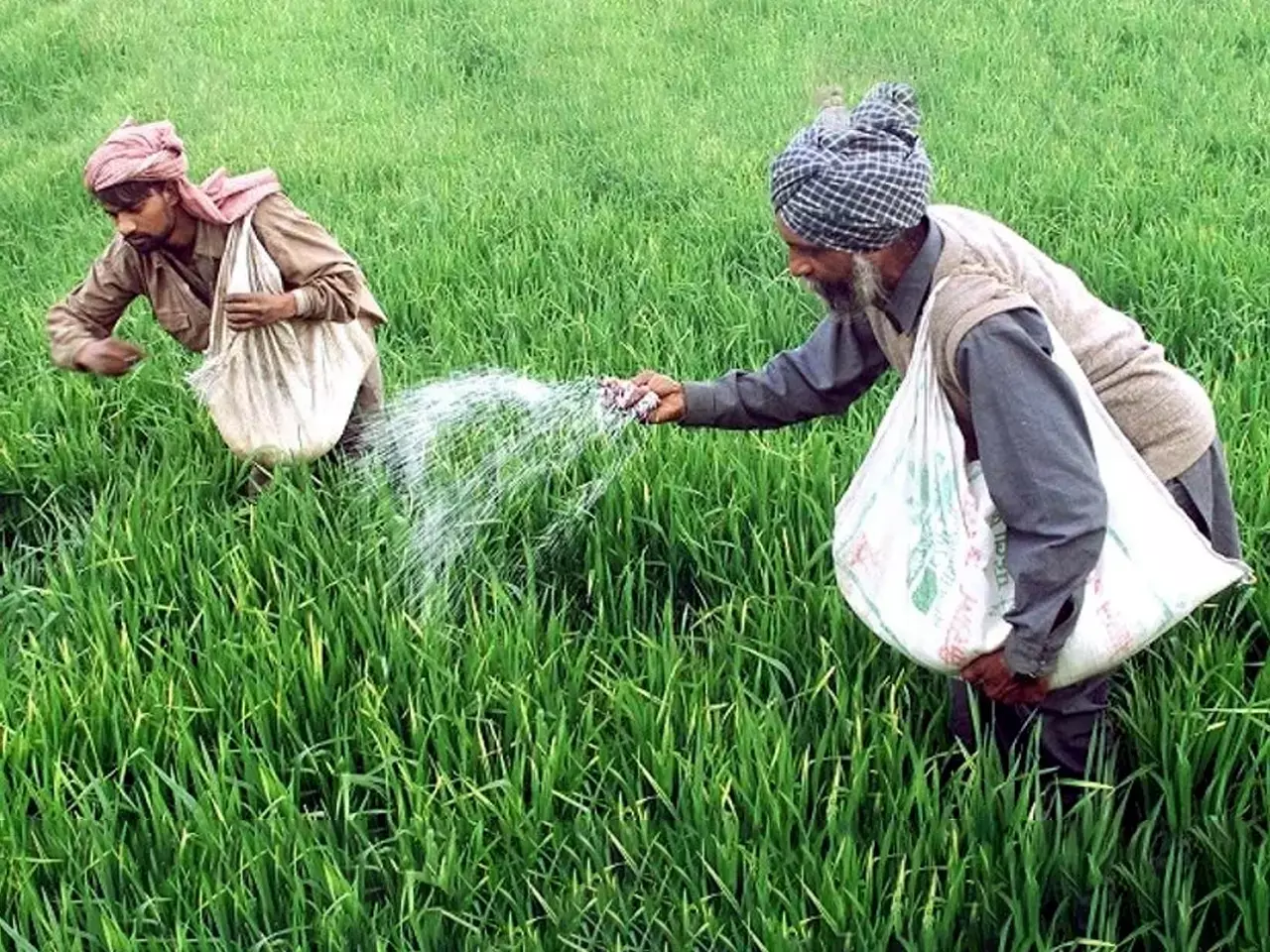 russia increases fertilizer supply to india russia increases fertilizer supply to india