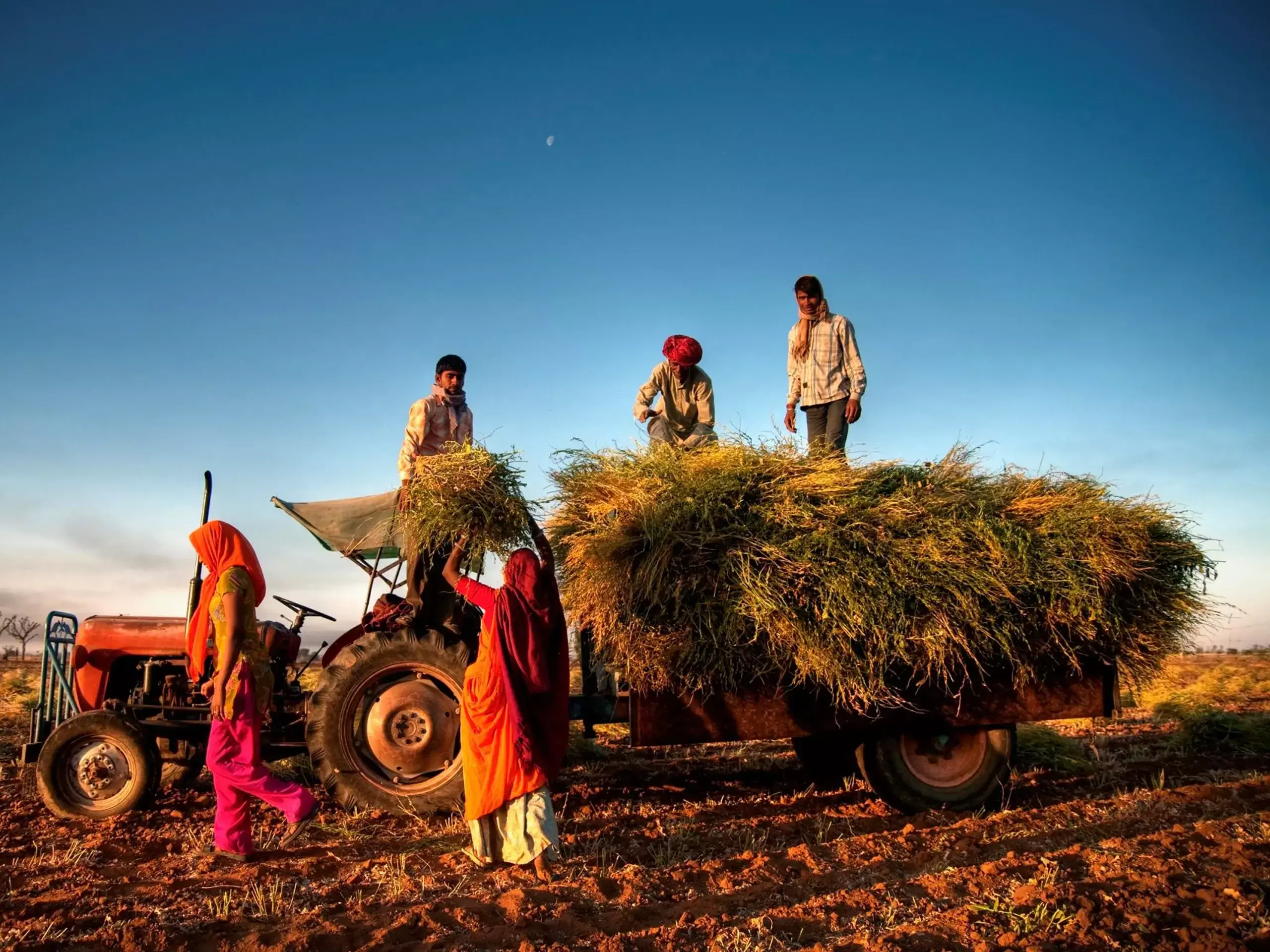 രാജ്യത്തിന്റെ കാര്‍ഷിക വളര്‍ച്ച   ഇടിയുമെന്ന് മുന്നറിയിപ്പ്