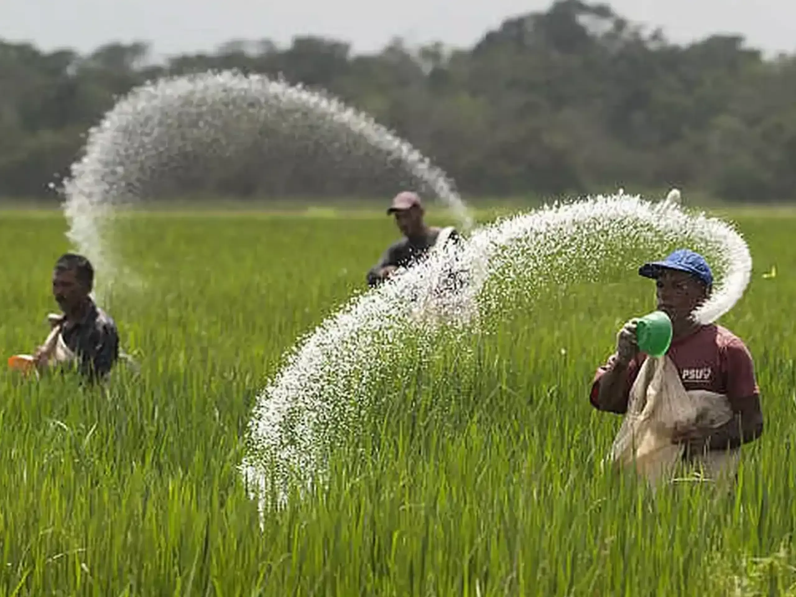 ഇന്ത്യയുടെ വളം ഇറക്കുമതി 41ശതമാനം വര്ധിക്കും ഇന്ത്യയുടെ വളം ഇറക്കുമതി 41ശതമാനം വര്ധിക്കും