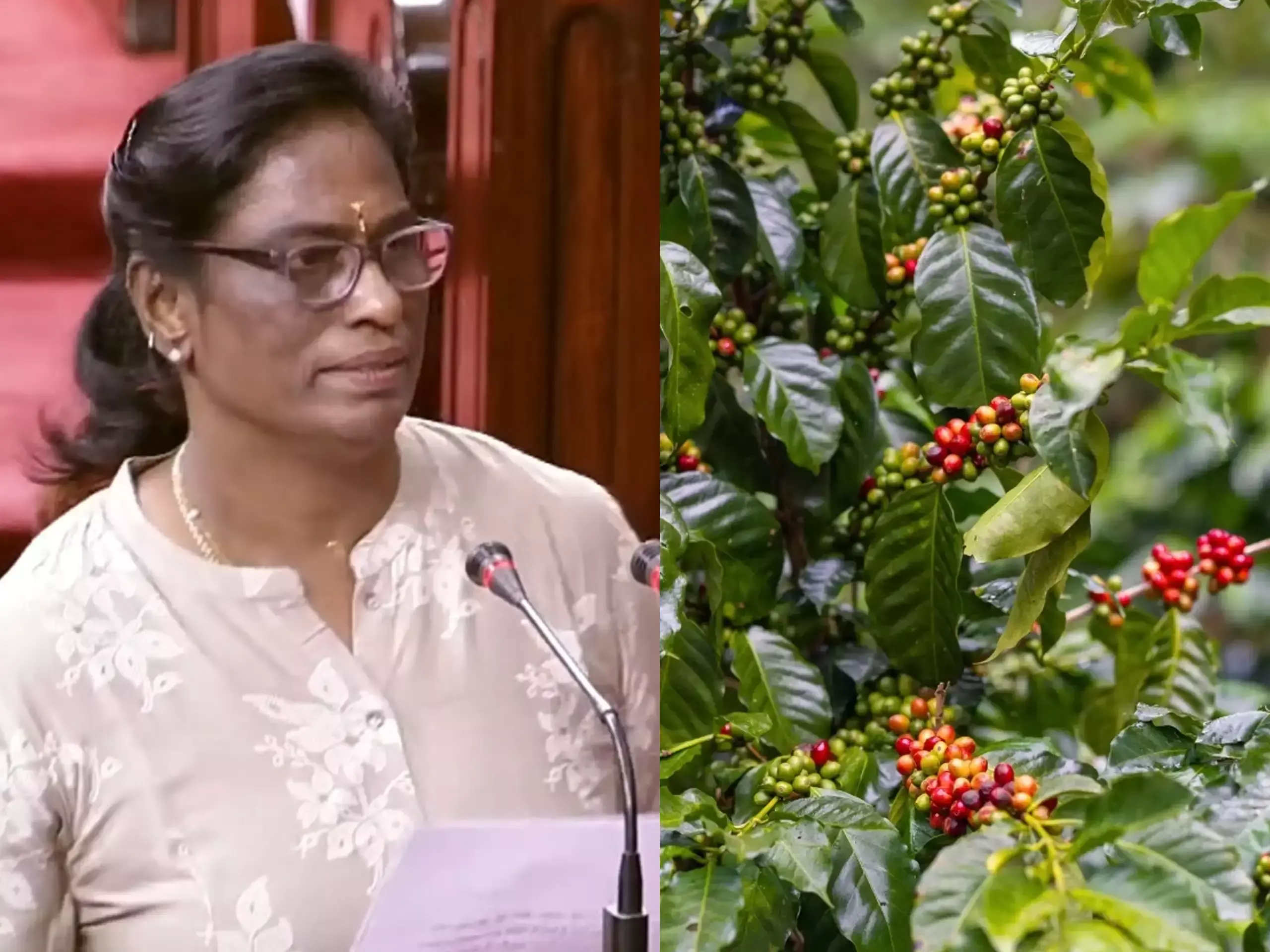 വയനാട്ടിലെ കാപ്പി കര്‍ഷകര്‍  നേരിടുന്നത് ഗുരുതര പ്രതിസന്ധി