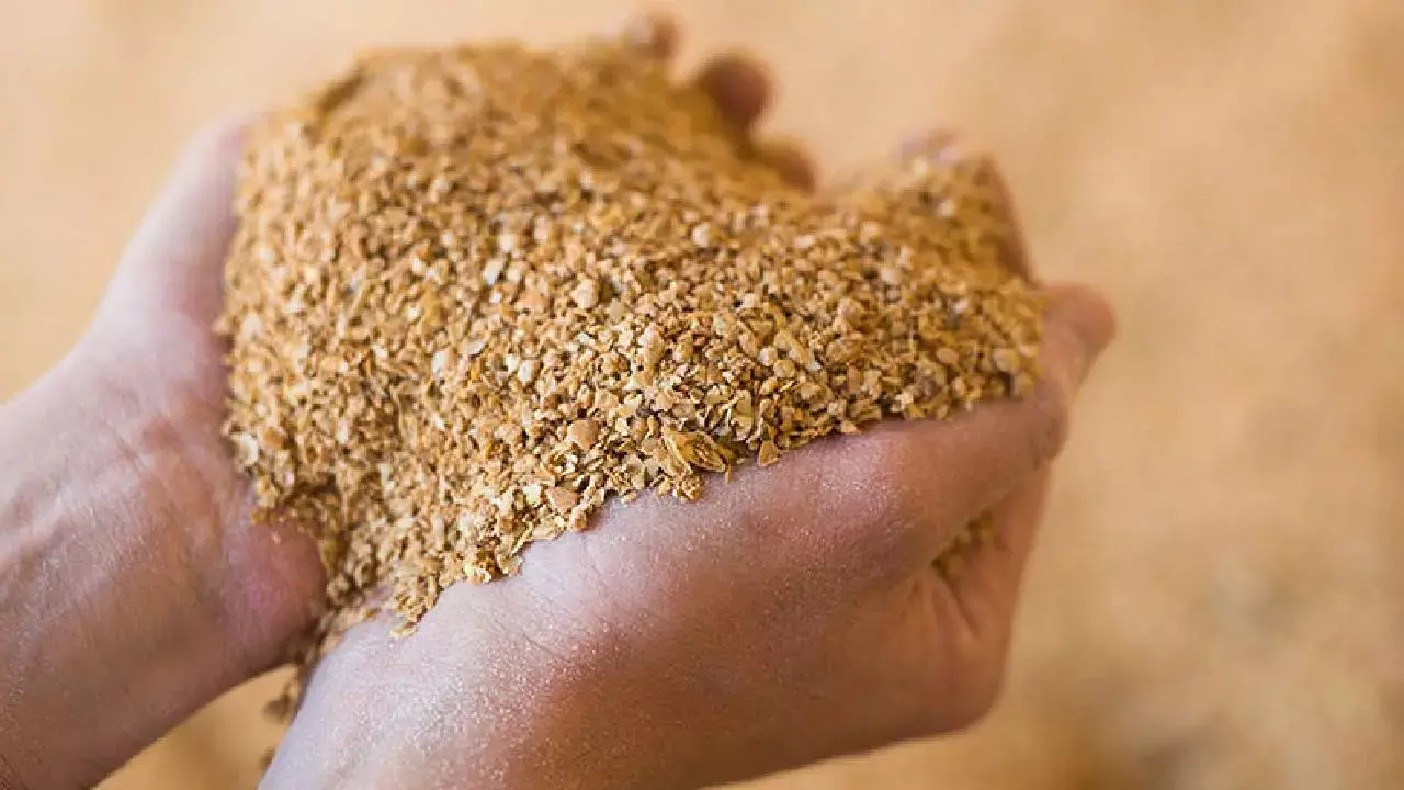 Soyameal Export:ഒക്ടോബര്‍-നവംബര്‍ മാസത്തില്‍ ഇന്ത്യയില്‍ നിന്നുള്ള സോയാമീല്‍ കയറ്റുമതി 38 ശതമാനം വര്‍ധിച്ചു