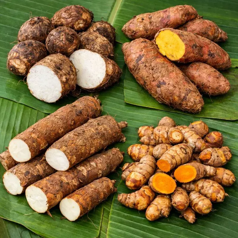 Farmers Crisis : വിളവെടുപ്പ് സീസൺ എത്തിയപ്പോൾ കിഴങ്ങുവിളകളുടെ വില കുത്തനെ ഇടിഞ്ഞു