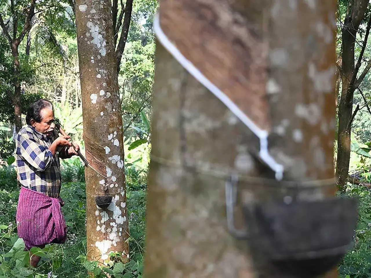 commodity market rubber