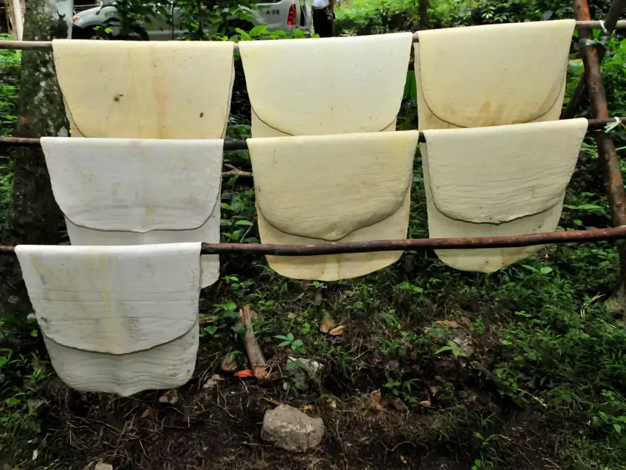 റബര്‍വില കുതിക്കുന്നു; റെക്കോര്‍ഡ്   ലക്ഷ്യമിട്ട് കാപ്പി കയറ്റുമതി