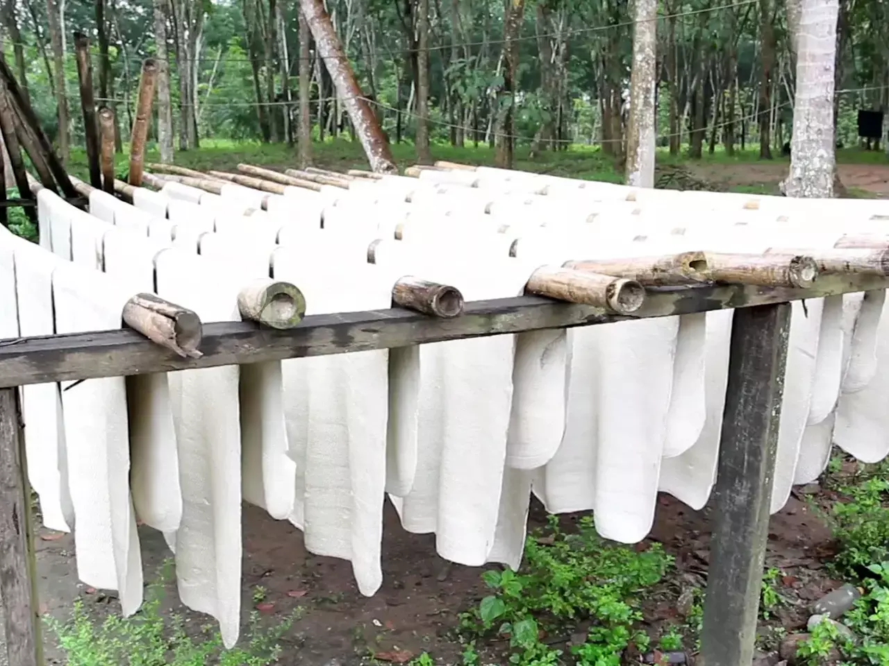 വിദേശത്ത് റബറിന് ഡിമാന്ഡേറി; ആടി ഉലഞ്ഞ് നാളികേര വിപണി വിദേശത്ത് റബറിന് ഡിമാന്ഡേറി; ആടി ഉലഞ്ഞ് നാളികേര വിപണി