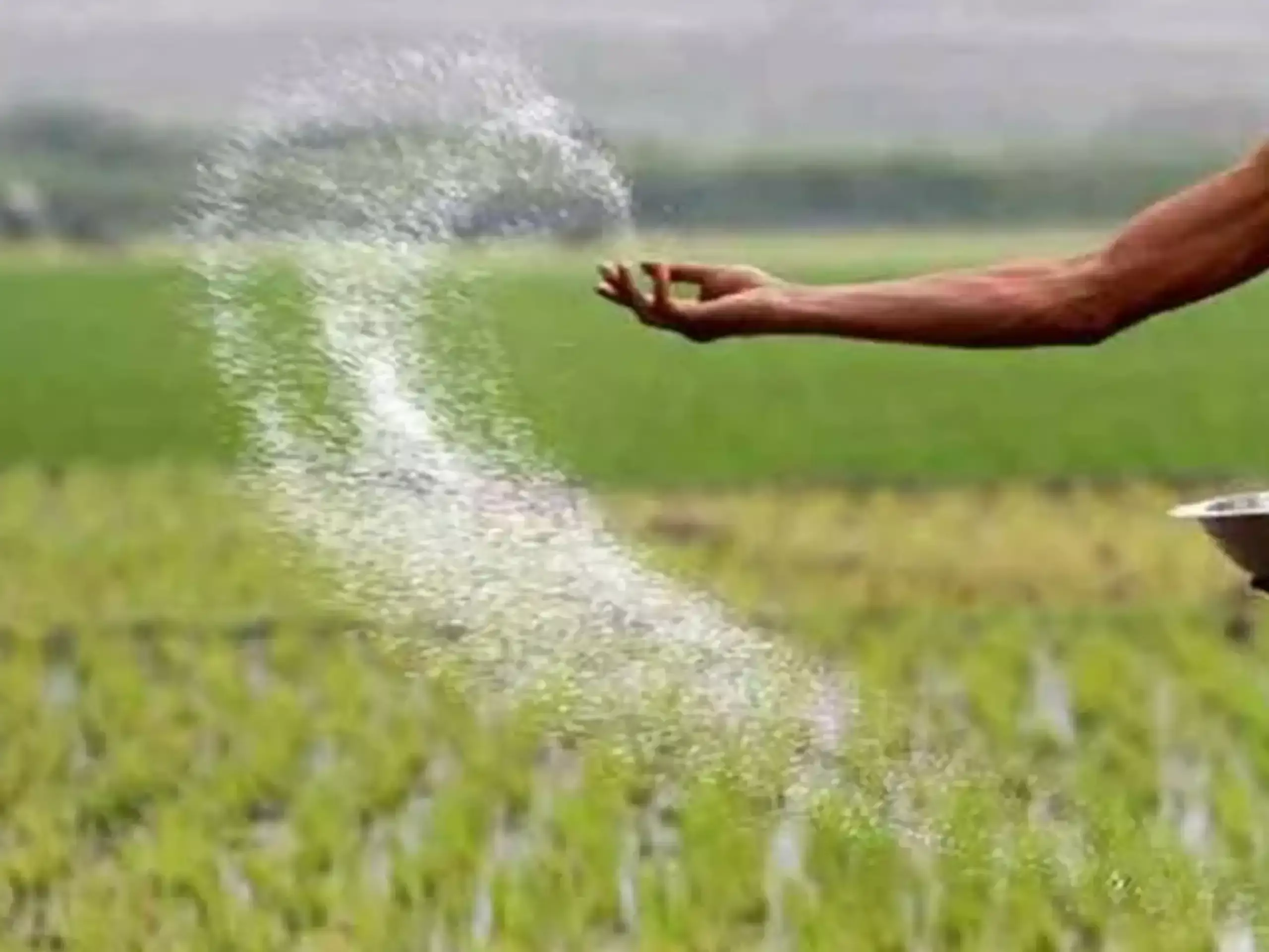 വളമില്ല; പ്രതിസന്ധി മറികടക്കാന്‍   ചൈനയില്‍ നിന്ന് യൂറിയ എത്തുമോ?