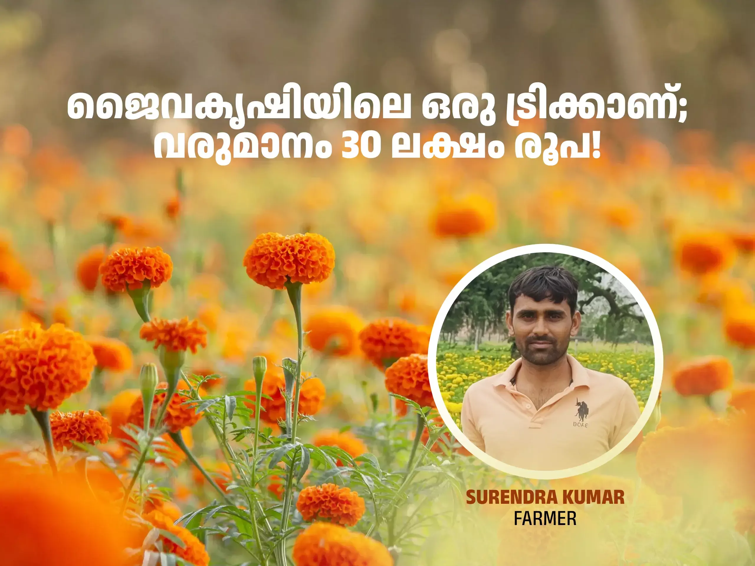 പൂത്തുലയുന്ന കൃഷിയിടം; മനംനിറയെ സന്തോഷം;  വര്‍ഷം 30 ലക്ഷം നേടുന്ന കര്‍ഷക വിസ്മയം