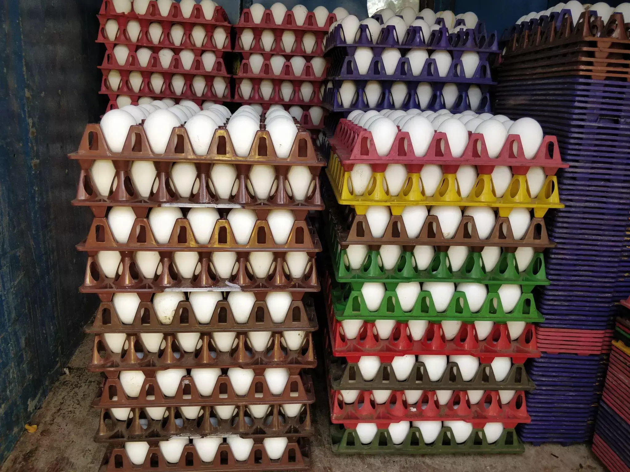 West Asia Conflict Hits Egg Industry: പശ്ചിമേഷ്യ സംഘർഷം: കയറ്റുമതി നിലച്ചു, മുട്ടവില ഇടിഞ്ഞ് കർഷകർ പ്രതിസന്ധിയിൽ