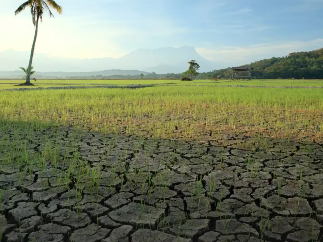 even if the rains decrease, agriculture will flourish, india is ready to face el nino