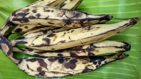 Nendran Banana Prices: നേന്ത്രക്കായ വില കുതിപ്പ്: വരവ് കുറഞ്ഞത് വിപണിയെ ബാധിച്ചു