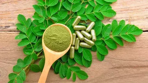 Australia Restricts Sale of Moringa Food Products: മുരിങ്ങയെ വിലക്കി ഓസ്‌ട്രേലിയ: കാരണം വിശദീകരിച്ച്  ഫുഡ് സ്റ്റാൻഡേർഡ്സ്