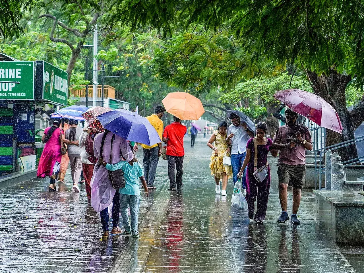 heavy rains continue in kerala, orange alert in seven districts