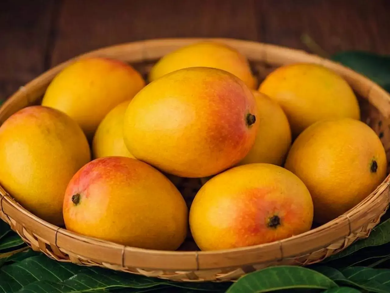 indian mangoes are a commercial surprise in the global market indian mangoes are a commercial surprise in the global market