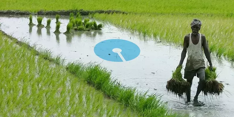 കാർഷിക വരുമാനത്തില്‍ 1.7 മടങ്ങ് വര്‍ധന: എസ്ബിഐ റിപ്പോര്‍ട്ട്