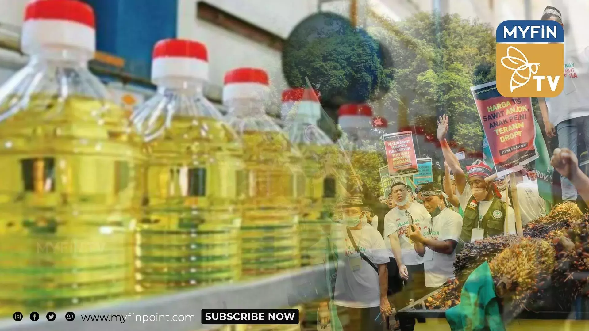 പുതിയ പാമോയിൽ കയറ്റുമതി പെർമിറ്റുകൾക്ക് അനുമതി നൽകി ഇന്തോനേഷ്യ