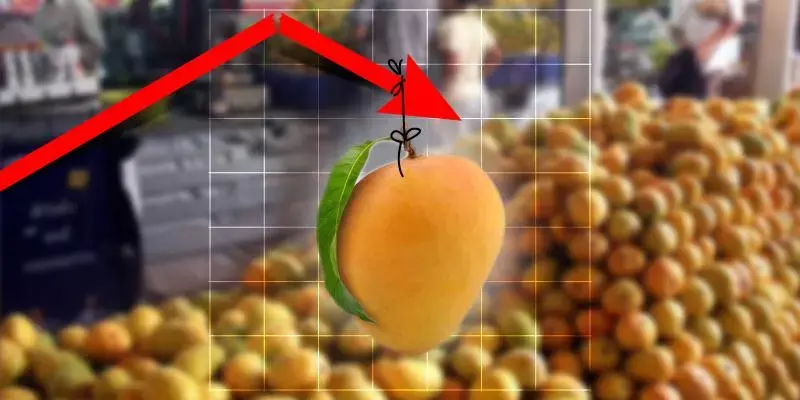 ഉത്തരേന്ത്യയിലെ ഉഷ്ണകാറ്റില്‍  ഞെട്ടറ്റ് വീഴുന്ന മാമ്പഴ വിപണി