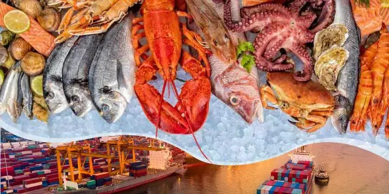 ഗൾഫ് വിപണി തേടി കേരളത്തിലെ സമുദ്രോത്പന്ന കയറ്റുമതിക്കാർ