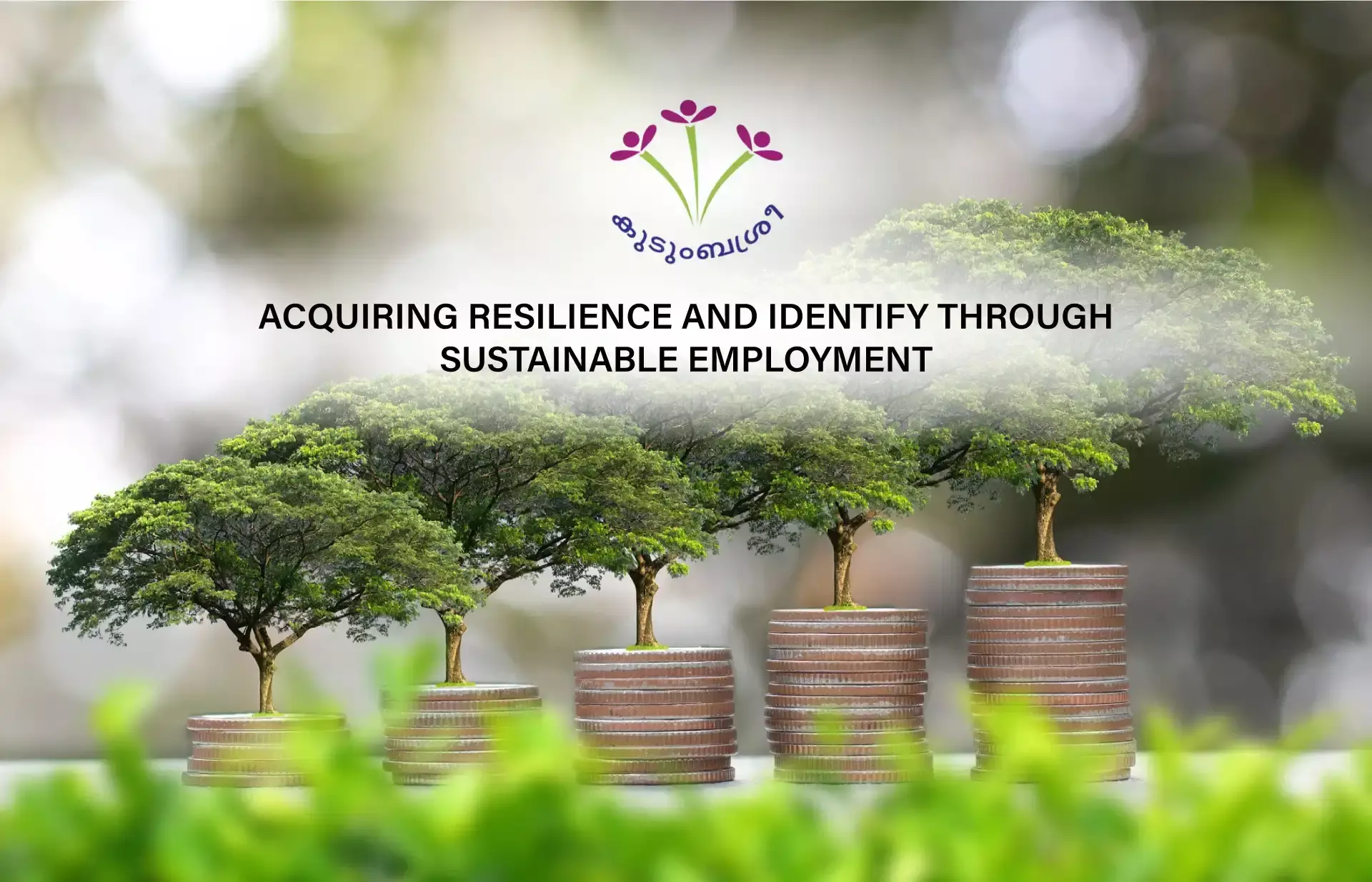 പ്രളയാനന്തരം വരുമാനം ലക്ഷ്യമിടുന്ന കുടുംബശ്രീയുടെ എറൈസ് പദ്ധതി