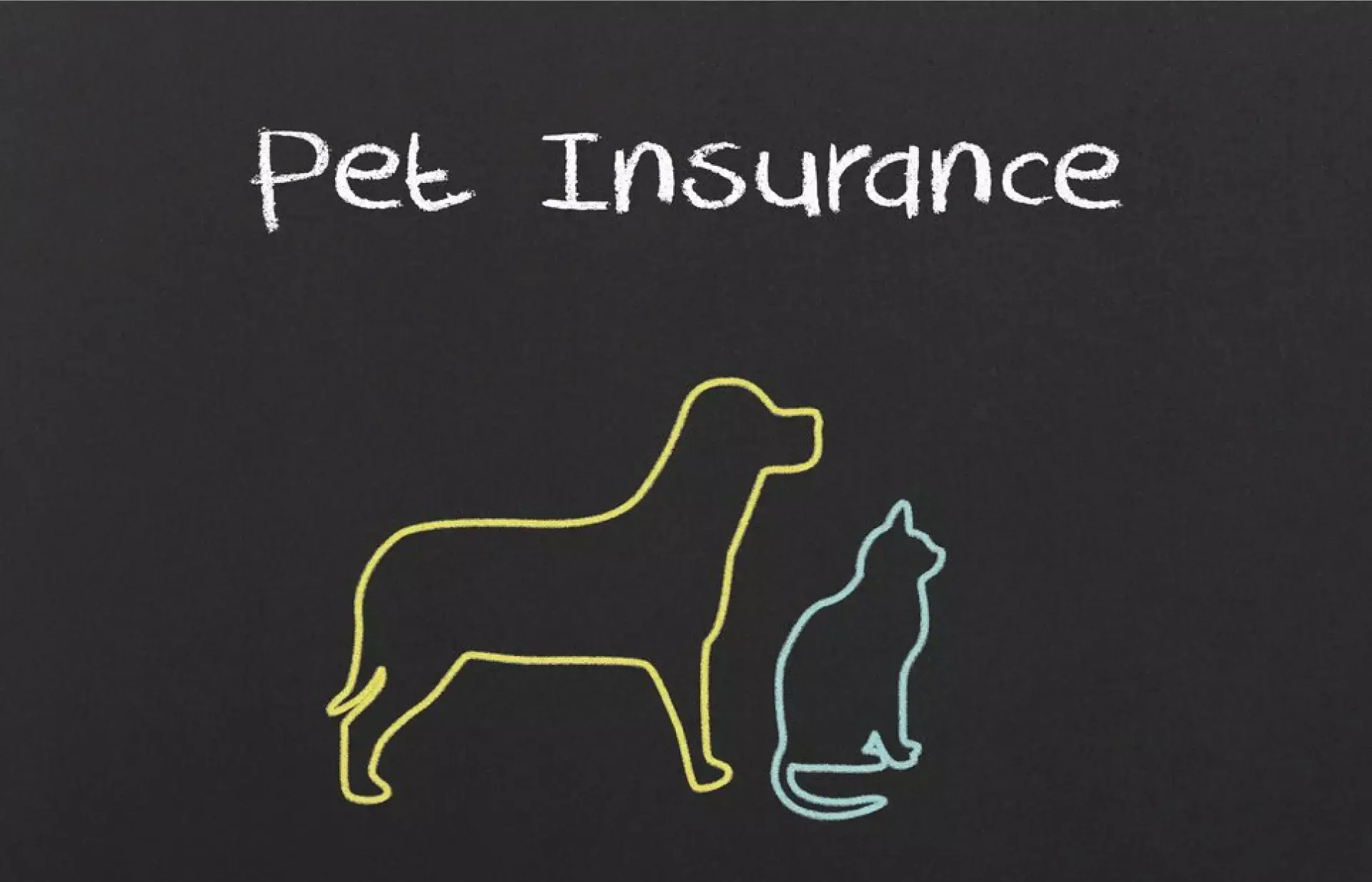 പെറ്റ് ഇൻഷ്വറൻസ്  പല തരം