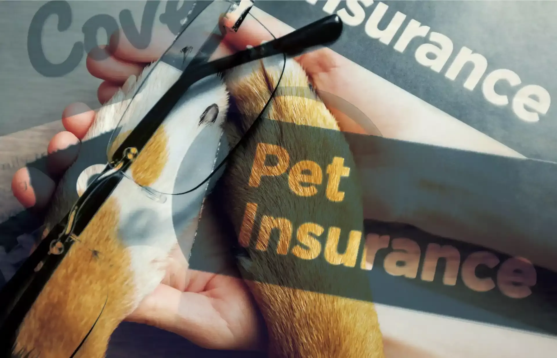 പെറ്റ് ഇന്‍ഷുറന്‍സ്, നേട്ടങ്ങൾ ഇവയാണ്