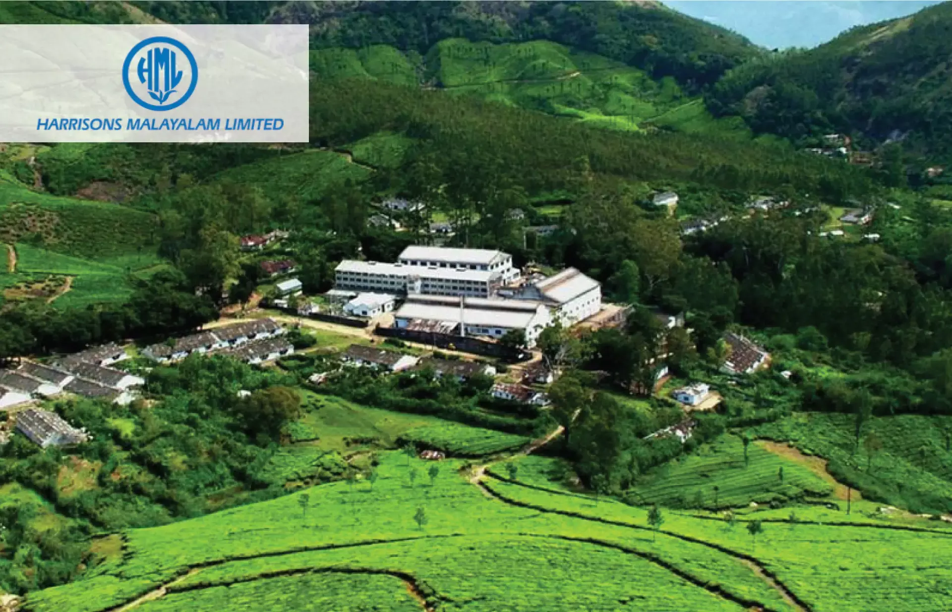 ഹാരിസണ്‍സ് മലയാളം ലിമിറ്റഡ്