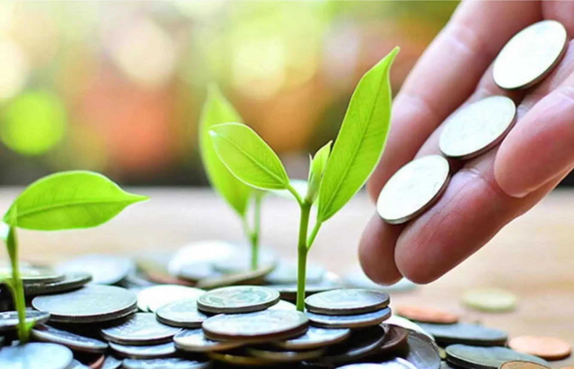 കേരള സംസ്ഥാന വ്യവസായ വികസന കോര്‍പ്പറേഷന്‍, ലക്ഷ്യം നിക്ഷേപം പ്രോത്സാഹിപ്പിക്കൽ