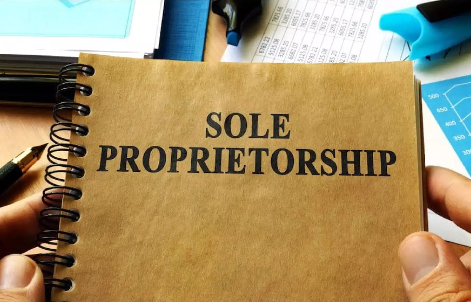 പ്രൊപ്രൈറ്റർഷിപ്  കമ്പനി എന്നാൽ എന്ത്?