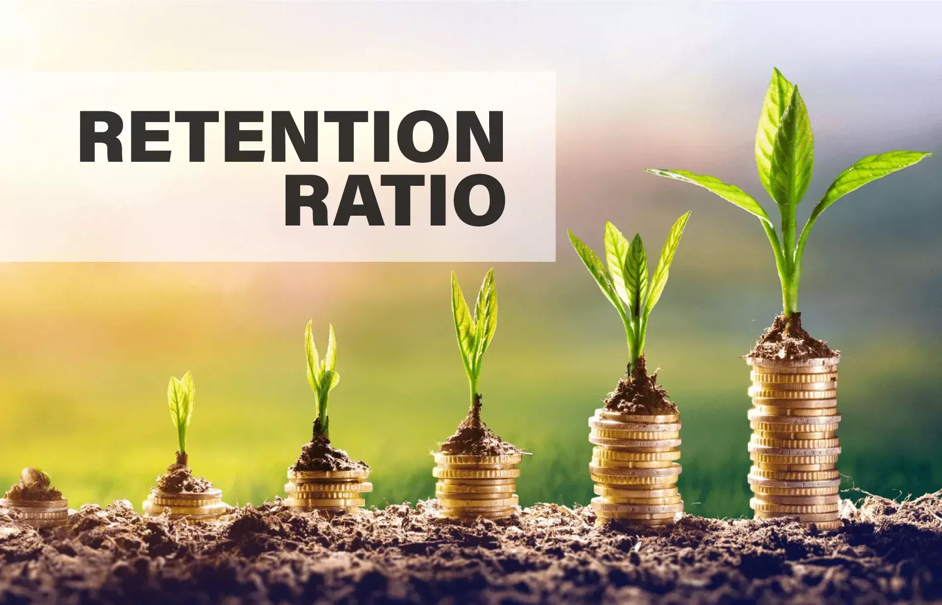 ബിസിനസ് വളർത്താൻ റിട്ടന്‍ഷന്‍ റേഷ്യോ