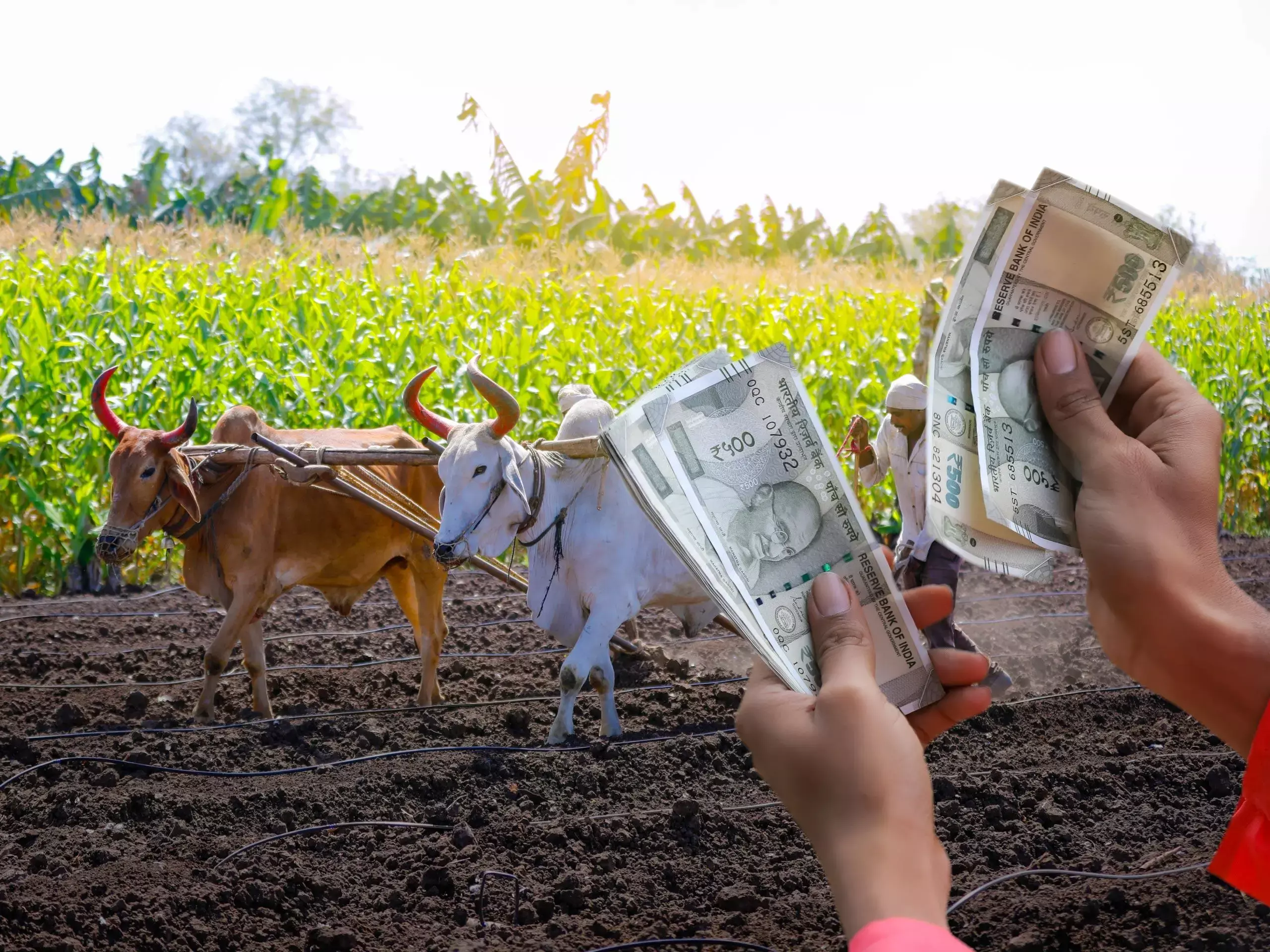 കാര്‍ഷിക-ഗ്രാമീണ മേഖലയിലെ പണപ്പെരുപ്പം ഉയര്‍ന്നു