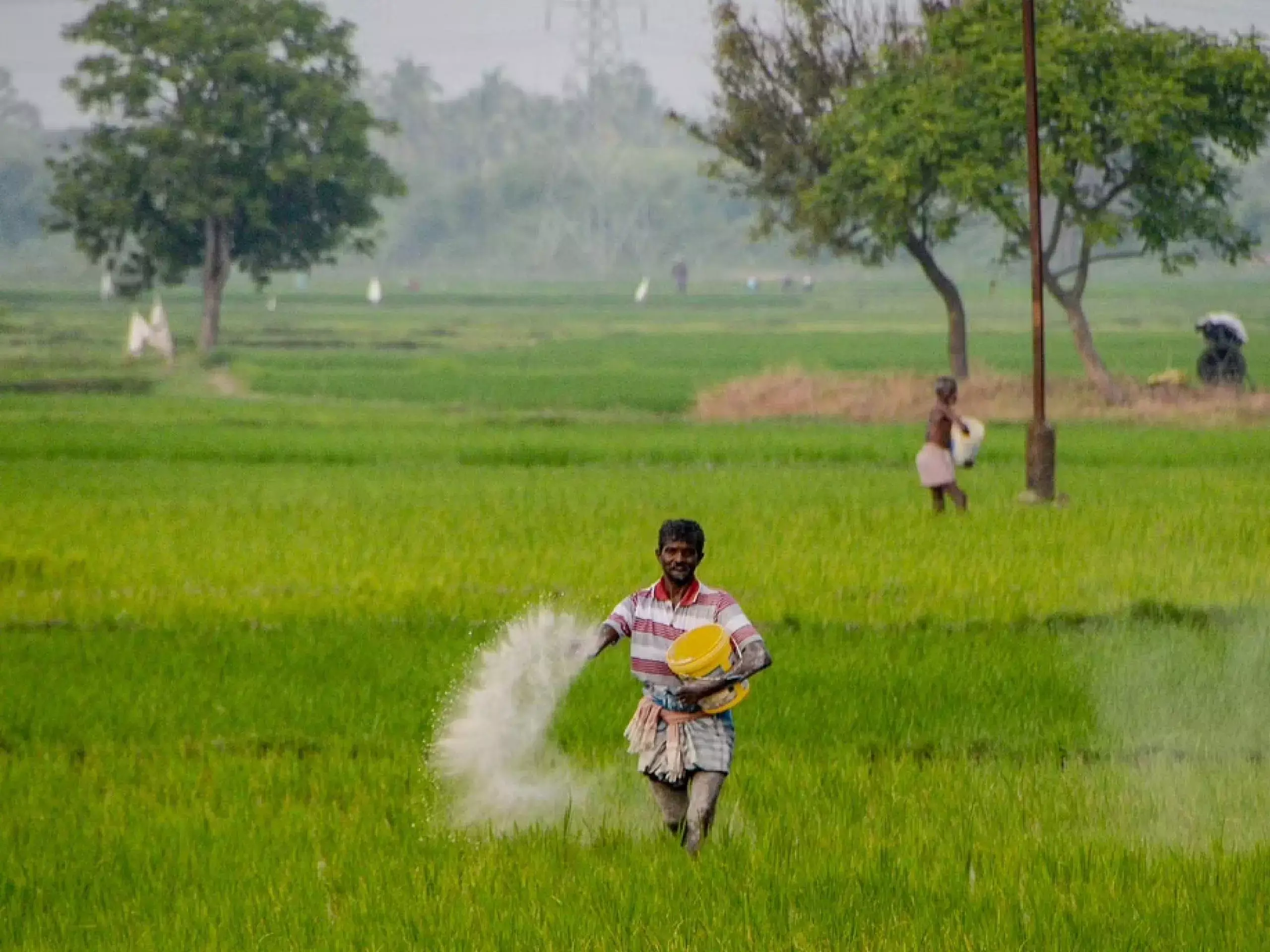 ഒരു രാജ്യം ഒരു വളം: ഭാരത് ബ്രാന്‍ഡ് അവതരിപ്പിച്ച് പ്രധാനമന്ത്രി