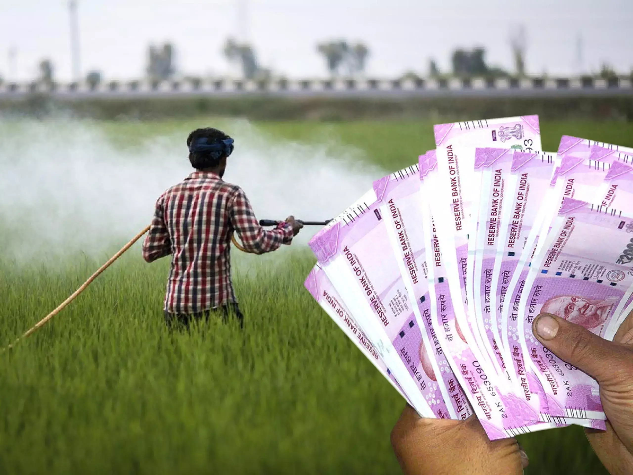 പിഎം കിസാൻ സമ്മാൻ നിധി: 12ാം ​ഗഡു തിങ്കളാഴ്ച്ച