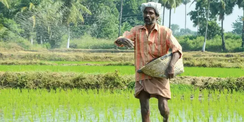 നെല്ല് കിലോയ്ക്ക് 29.04 രൂപ,17 വിളകളുടെ താങ്ങുവില ഉയര്‍ത്തി