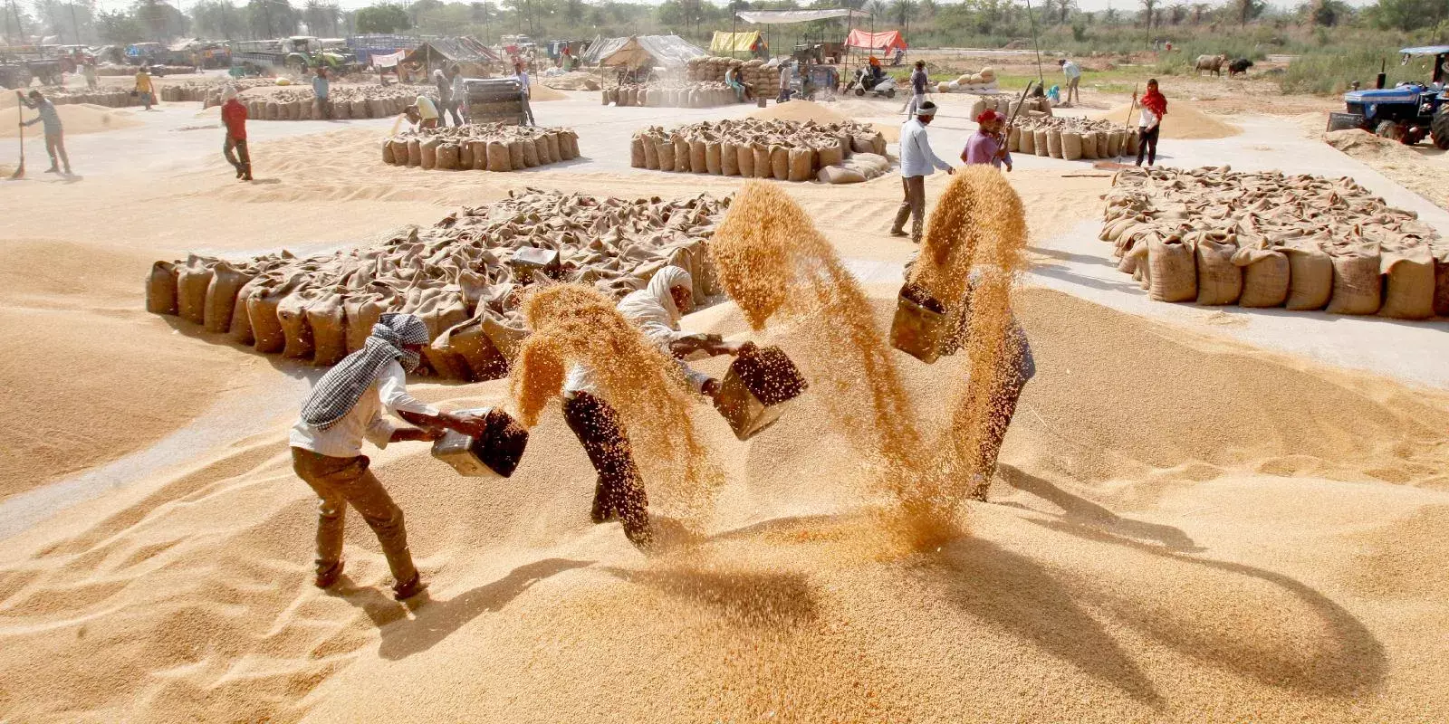 ഖരീഫ് അരി ഉത്പാദനം 967 ലക്ഷം ടണ്ണായി കുറയും: ഒറിഗോ കമ്മോഡിറ്റീസ്