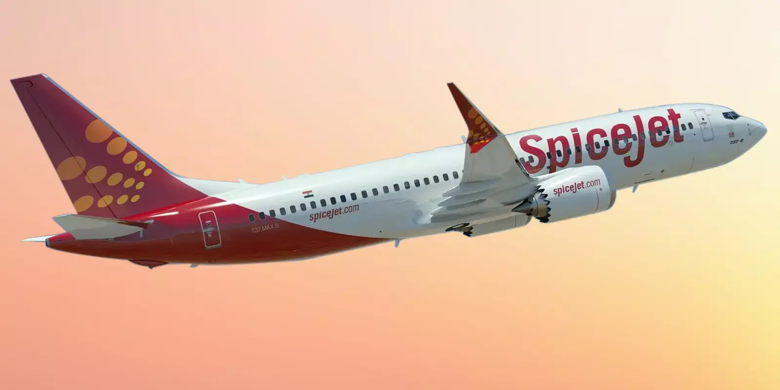 സ്‌പൈസ് ജെറ്റിന് മൂക്കുകയര്‍: 50% സര്‍വീസ് മതിയെന്ന് ഡിജിസിഎ