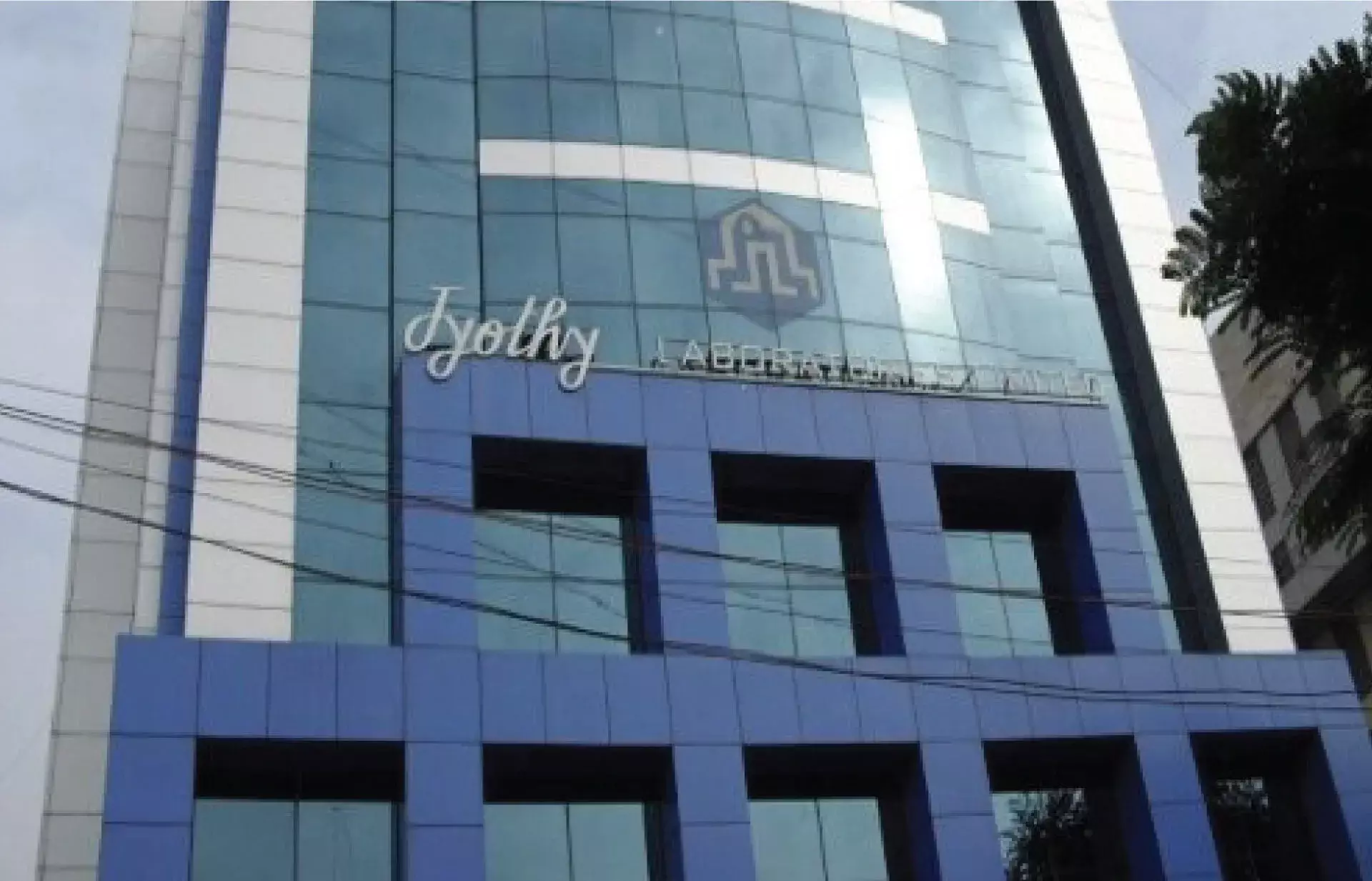 മൂന്നാം പാദത്തിൽ അറ്റാദായം 29% ഇടിഞ്ഞ് ജ്യോതി ലാബ്‌സ്