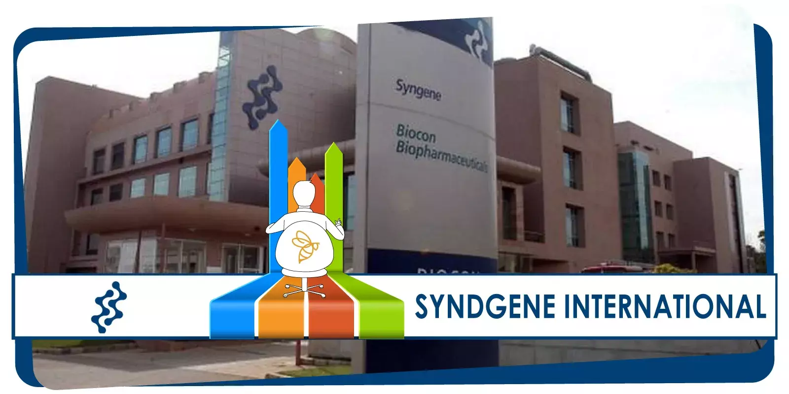 അറ്റാദായത്തിൽ വീഴ്ച്ച: സിൻജിൻ ഇന്റർനാഷനൽ 3 ശതമാനം താഴ്ന്നു