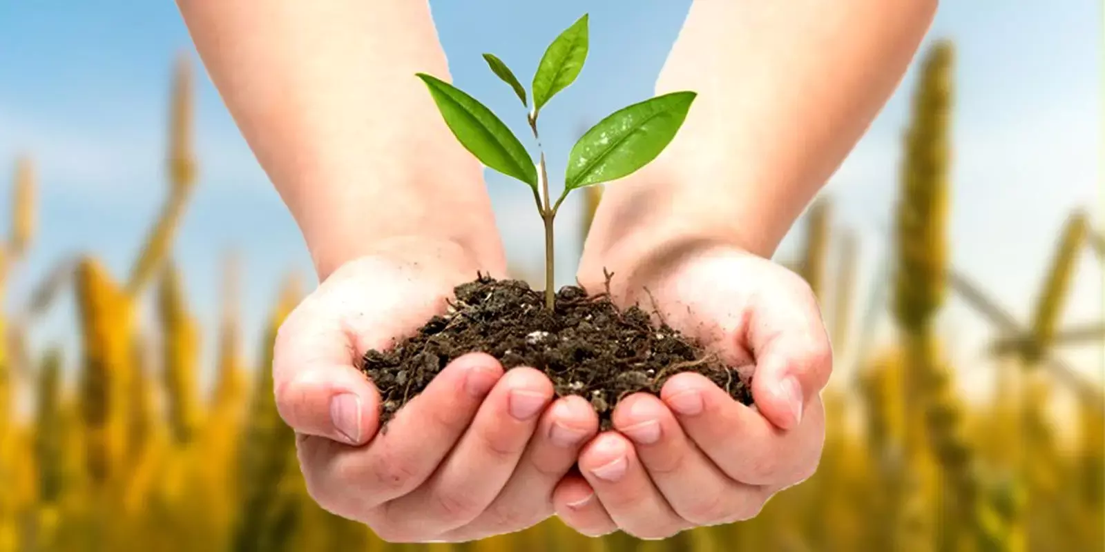 അഗ്രി ഇന്‍ഷുറന്‍സ്: മാനദണ്ഡങ്ങള്‍ ലഘൂകരിച്ച് ഐആര്‍ഡിഎഐ