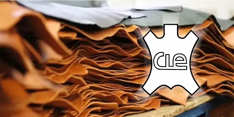 തുകല്‍ കയറ്റുമതി വരുമാനം 600 കോടി ഡോളര്‍ കടക്കും,സിഎല്‍ഇ