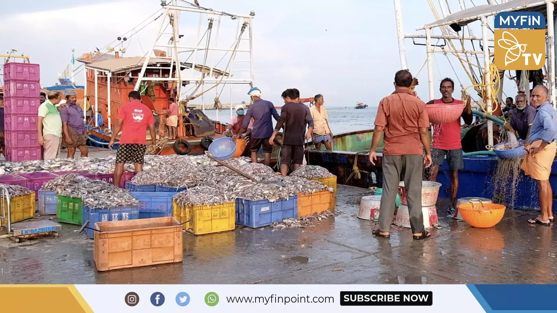 കേരളത്തിലെ മത്തി ലഭ്യതയില്‍ കുറവ്