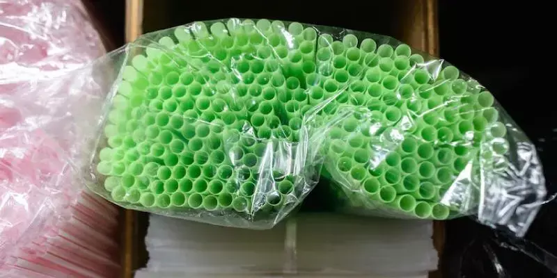 രാജ്യത്ത് പ്ലാസ്റ്റിക് സ്‌ട്രോ നിരോധനം, ജൈവ ബദലുകളിലെ ബിസിനസ് അവസരങ്ങള്‍