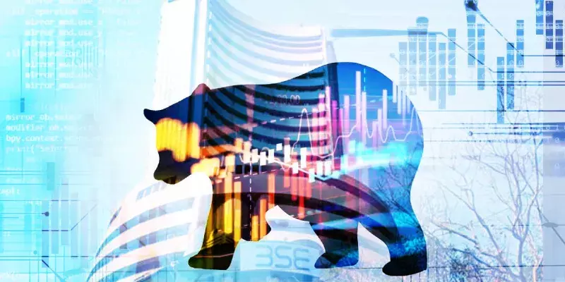 Stock Market Bear